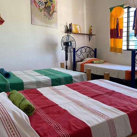 Casa El Mundo Hostel Oaxaca Kültér fotó