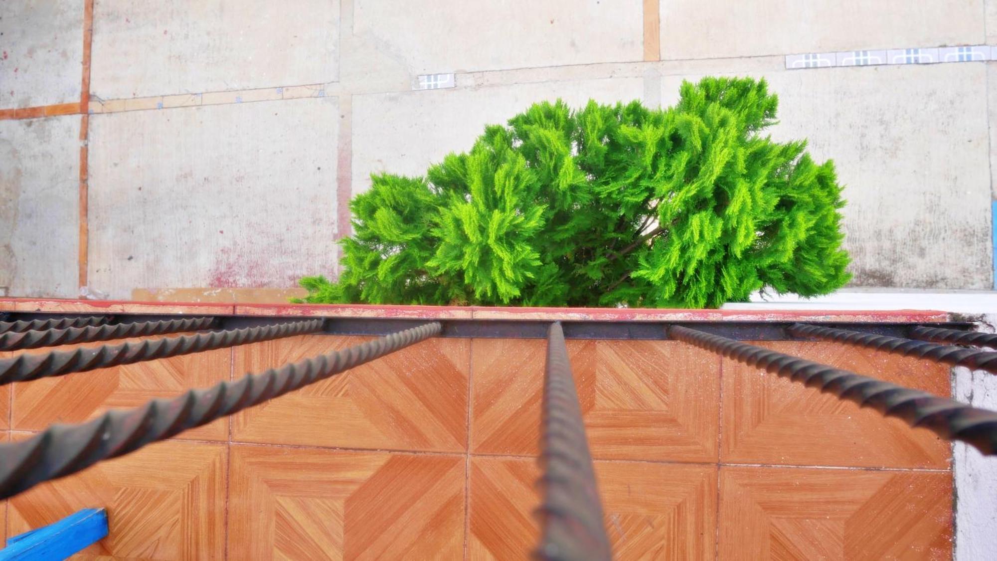 Casa El Mundo Hostel Oaxaca Kültér fotó