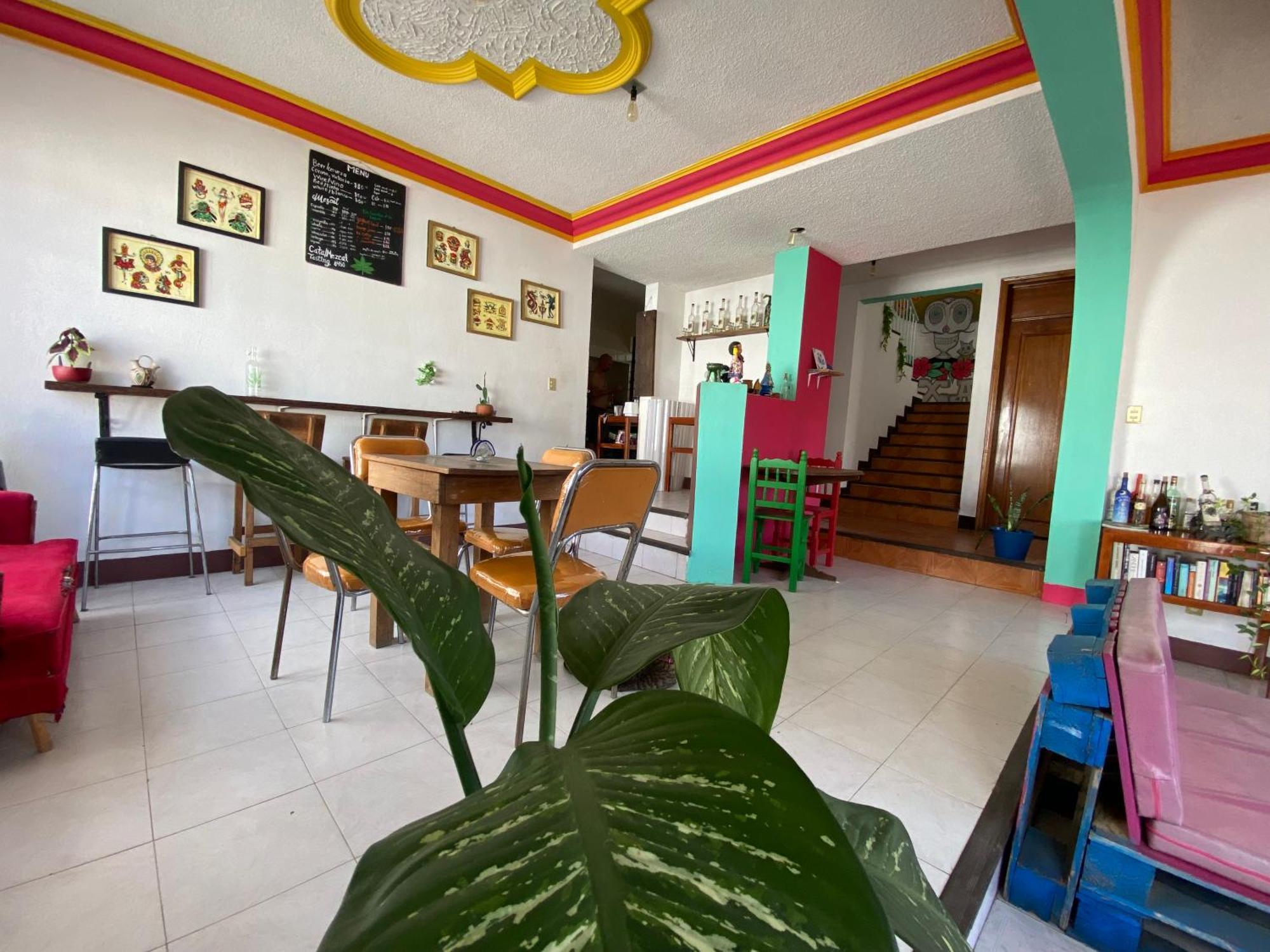 Casa El Mundo Hostel Oaxaca Kültér fotó